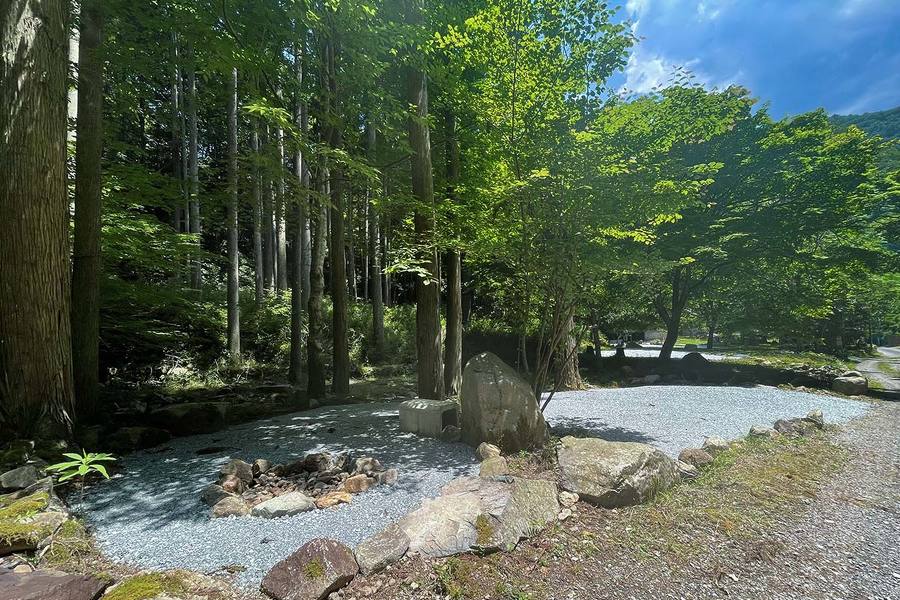 区画Dの画像。晴れた空の下、森の中に整地された区画があり、手前の焚火場に木漏れ日が差している。