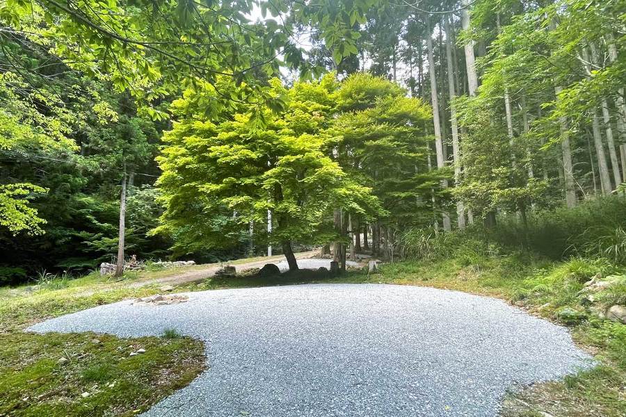 区画Cの画像。森の中に整地された区画、焚火場がある。