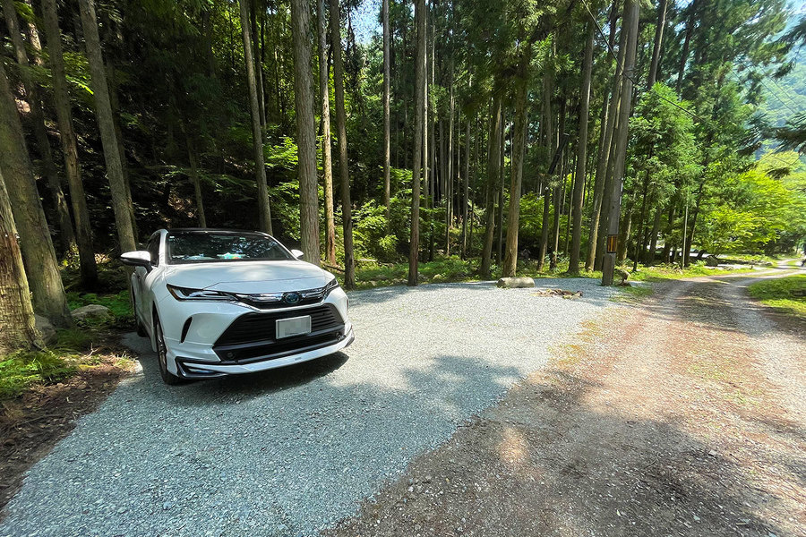 区画Eに車が停まっている画像。森の中に整地された空間がある。車の手前に焚火場が見える。